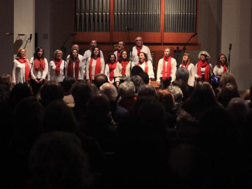 Os nossos Sintonia, sob a lente de Paulo Henrique!